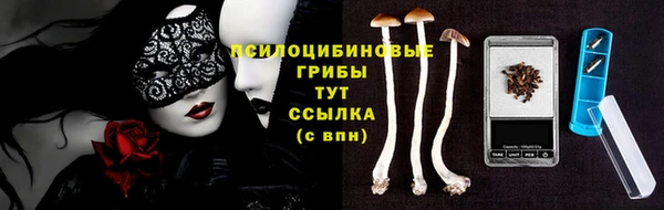 соль курить ск Алексеевка