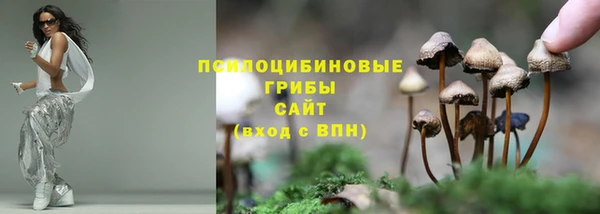 скорость Бронницы