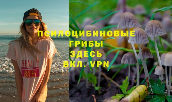 PSILOCYBIN Алексин