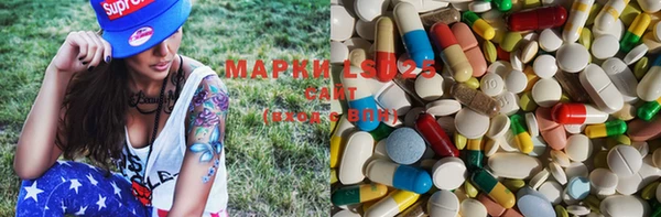 PSILOCYBIN Алзамай
